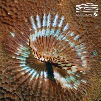  Keen-Eyed Kontiki Worm: An Underwater Architectural Marvel Built by Bristly Builders!