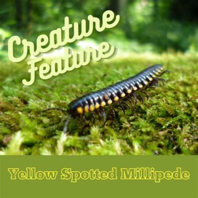  Yellow-Spotted Millipede! A Curious Creature That Combines Stealthy Movements with Striking Hues